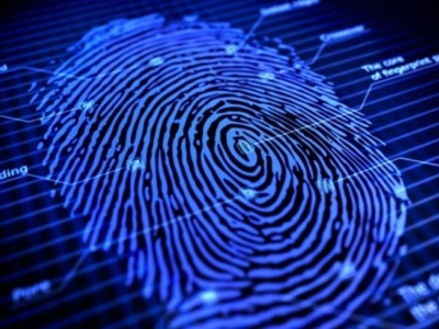 LEI DE CRIMES DIGITAIS